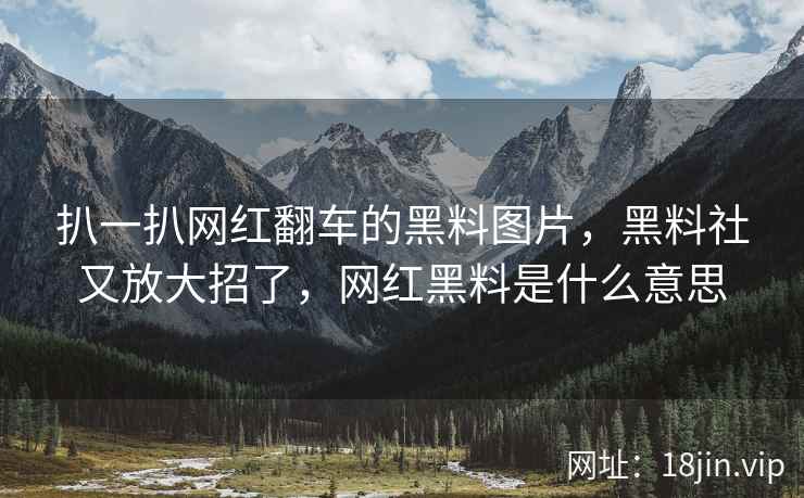 扒一扒网红翻车的黑料图片，黑料社又放大招了，网红黑料是什么意思
